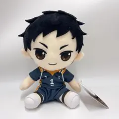 2026年最新】澤村大地 ぬいぐるみの人気アイテム - メルカリ