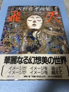 2026年最新】天野喜孝全版画集の人気アイテム - メルカリ