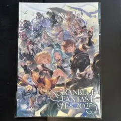 2026年最新】グラブルパンフレットの人気アイテム - メルカリ