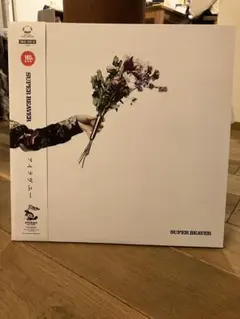 2026年最新】SUPER beaver レコードの人気アイテム - メルカリ