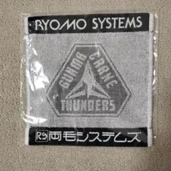 2026年最新】群馬クレインサンダーズ タオルの人気アイテム - メルカリ