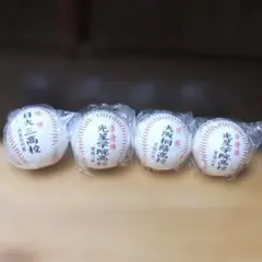 2026年最新】日大三高 野球の人気アイテム - メルカリ