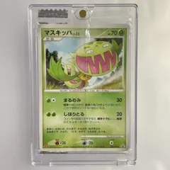 2026年最新】ポケモン 明治 未開封の人気アイテム - メルカリ