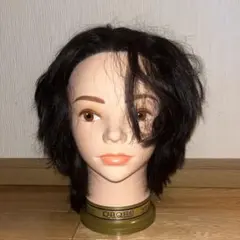 2026年最新】ワインディング ウイッグの人気アイテム - メルカリ