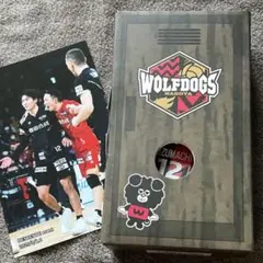 2026年最新】ウルフドッグス名古屋 水町の人気アイテム - メルカリ