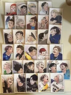 2026年最新】ハイキュー思い出スナップフォトカードの人気アイテム