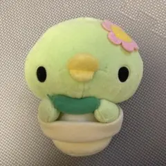 2026年最新】サボカッパ ぬいぐるみの人気アイテム - メルカリ