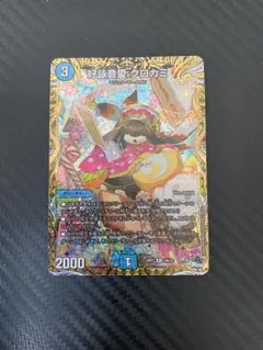 2026年最新】クロカミ bの人気アイテム - メルカリ