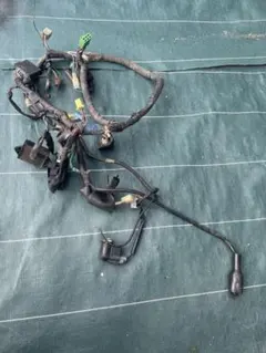 2026年最新】メインハーネス ズーマーの人気アイテム - メルカリ