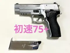 2026年最新】ステンレス SIG P226の人気アイテム - メルカリ