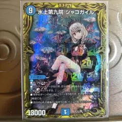 2026年最新】シャコガイルbの人気アイテム - メルカリ