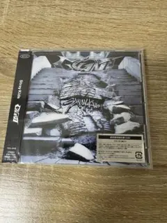 2025年最新】stray kids giant 未開封の人気アイテム - メルカリ