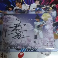 2026年最新】王柏融（ワンボーロン）の人気アイテム - メルカリ