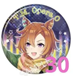 2026年最新】メガイルミ 缶バッジの人気アイテム - メルカリ