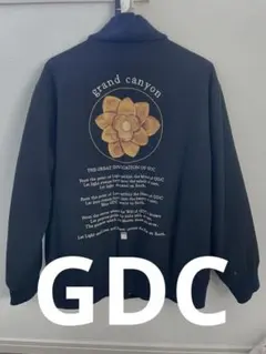 2026年最新】スタジャン gdcの人気アイテム - メルカリ