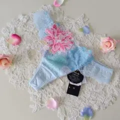 2026年最新】ワコール サルート 中国音楽の人気アイテム - メルカリ