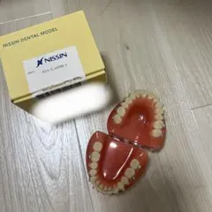 2026年最新】ニッシン 歯科の人気アイテム - メルカリ