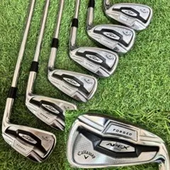 2026年最新】キャロウェイapexアイアン2016の人気アイテム - メルカリ