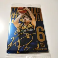 2026年最新】ブレックス サインの人気アイテム - メルカリ