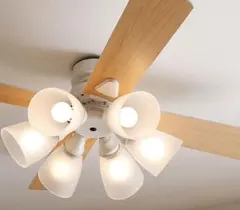 2026年最新】シーリングファンライト ロウヤの人気アイテム - メルカリ