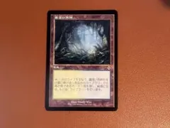 2026年最新】霧深い雨林の人気アイテム - メルカリ