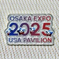 2026年最新】アメリカパビリオンピンバッジの人気アイテム - メルカリ