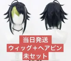 2026年最新】伊波ライ ウィッグの人気アイテム - メルカリ