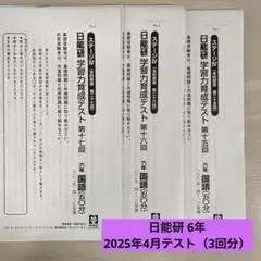2026年最新】日能研 テスト 6年の人気アイテム - メルカリ