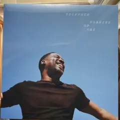 2026年最新】vulfpeck レコードの人気アイテム - メルカリ