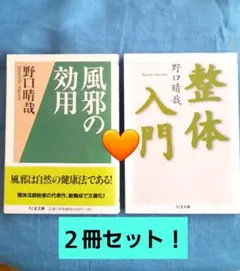 2026年最新】野口整体の人気アイテム - メルカリ