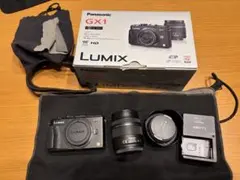 2026年最新】lumix gx1の人気アイテム - メルカリ