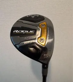 2026年最新】rogue st max 5wの人気アイテム - メルカリ