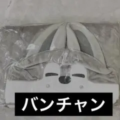 2026年最新】ウルフチャン ブランケットの人気アイテム - メルカリ