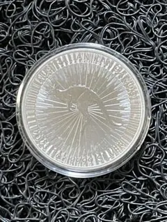 2026年最新】カンガルー銀貨の人気アイテム - メルカリ