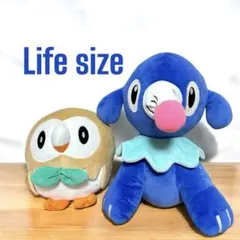 2026年最新】等身大アシマリの人気アイテム - メルカリ