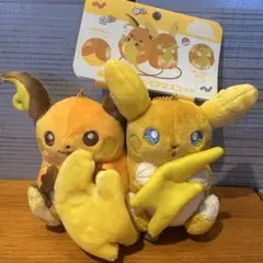 2026年最新】磁石でくっつくペアマスコット ライチュウ&アローラ