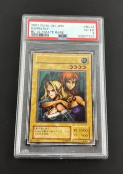 2026年最新】ヂェミナイ・エルフ レリーフ psa10の人気アイテム - メルカリ