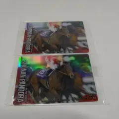 2026年最新】ショウナンパンドラの人気アイテム - メルカリ