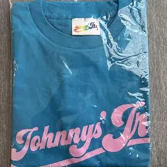 2026年最新】わっしょいCAMP tシャツ スカイブルーの人気アイテム