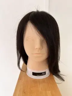 2026年最新】カットウィッグip200の人気アイテム - メルカリ