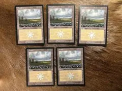 2026年最新】ユーロランド mtgの人気アイテム - メルカリ