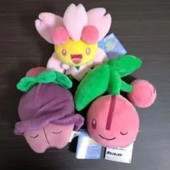 2026年最新】チェリム ぬいぐるみの人気アイテム - メルカリ