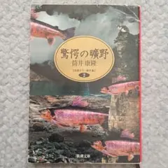 2026年最新】驚愕の曠野の人気アイテム - メルカリ