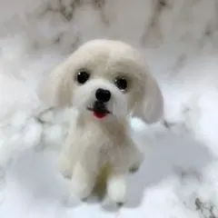 2026年最新】マルチーズ 羊毛フェルトの人気アイテム - メルカリ