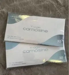 2026年最新】ライフウェーブカルノシンの人気アイテム - メルカリ