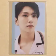 2026年最新】ジョシュア ひとりじゃないの人気アイテム - メルカリ