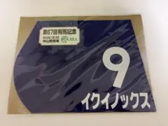 2026年最新】イクイノックス 有馬記念 ミニゼッケンの人気アイテム