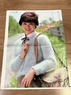 2026年最新】松田聖子 ポッキーの人気アイテム - メルカリ