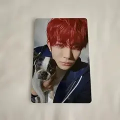 2026年最新】enhypenアンケートトレカの人気アイテム - メルカリ