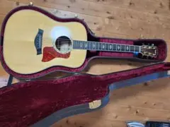 2026年最新】テイラー 810の人気アイテム - メルカリ